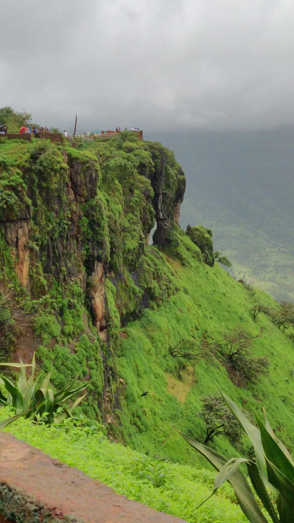 Photo of Elephants Head Point, Jaoli, Maharashtra by Aakash Kumar