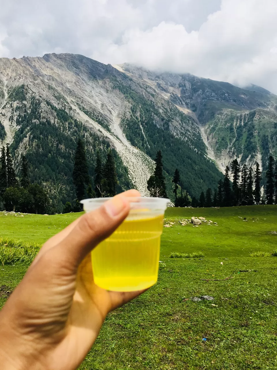 Photo of Kashmir Great Lakes - Undoubtedly the most exquisite trek of India! by Shrilakshmi Hegde