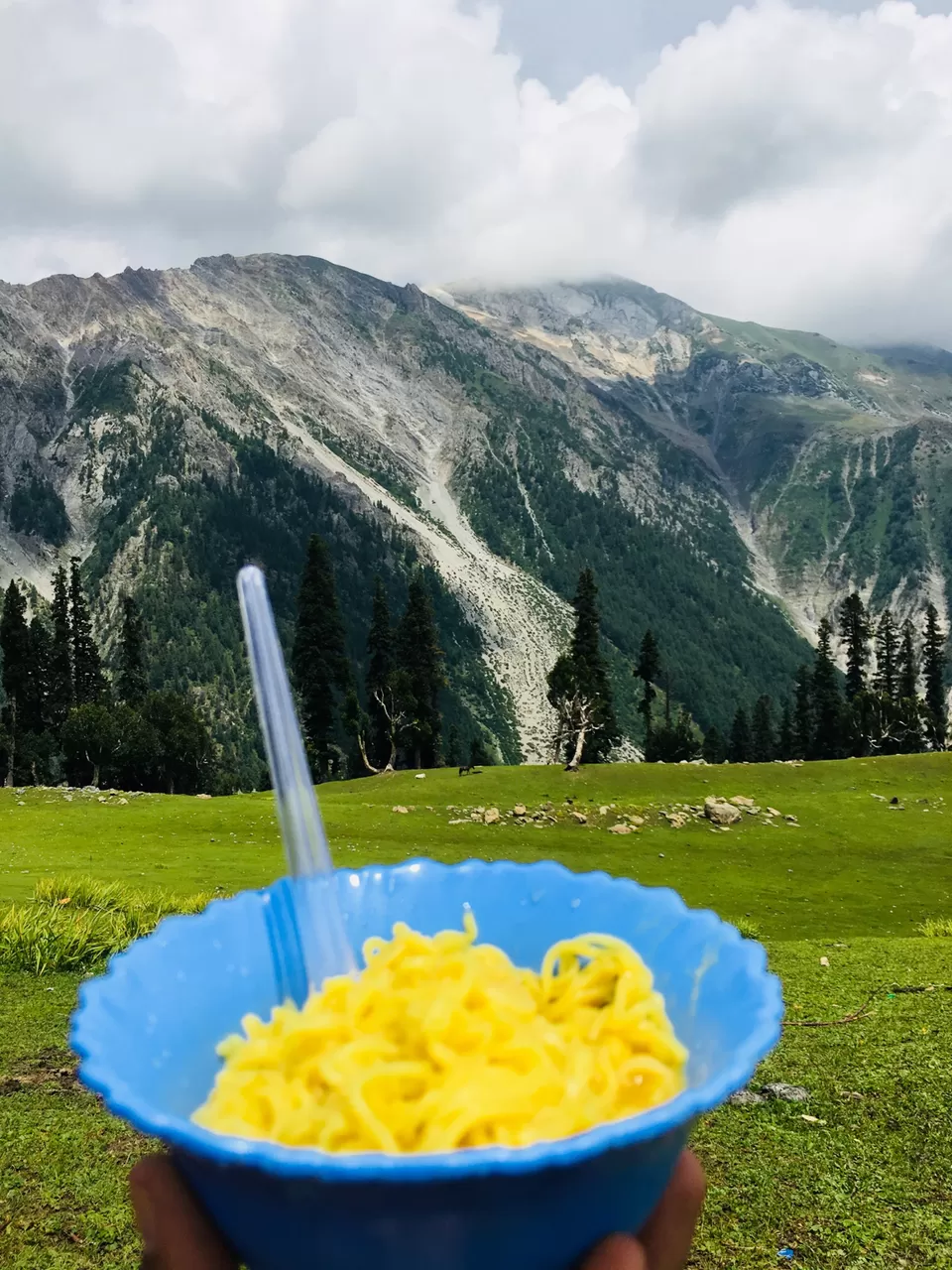 Photo of Kashmir Great Lakes - Undoubtedly the most exquisite trek of India! by Shrilakshmi Hegde