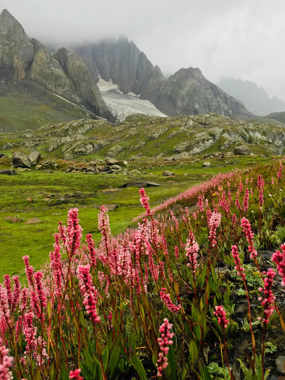 Photo of Kashmir Great Lakes - Undoubtedly the most exquisite trek of India! by Shrilakshmi Hegde