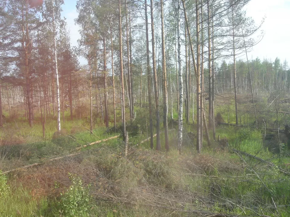 Photo of Ekaterinburg, Siberia by Eugene