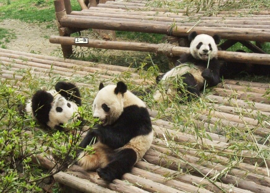 Photo of A Short Escapade To China 6/6 by WeSaidGoTravel