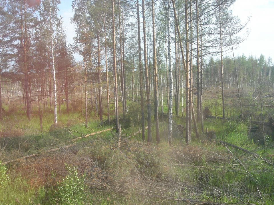 Photo of The Trans-Siberian Railway Adventure 5/7 by Eugene