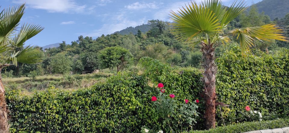 Photo of Nature view resort, Awalakot Corbett, distt, Kotabagh, Uttarakhand, India by Amit Singh