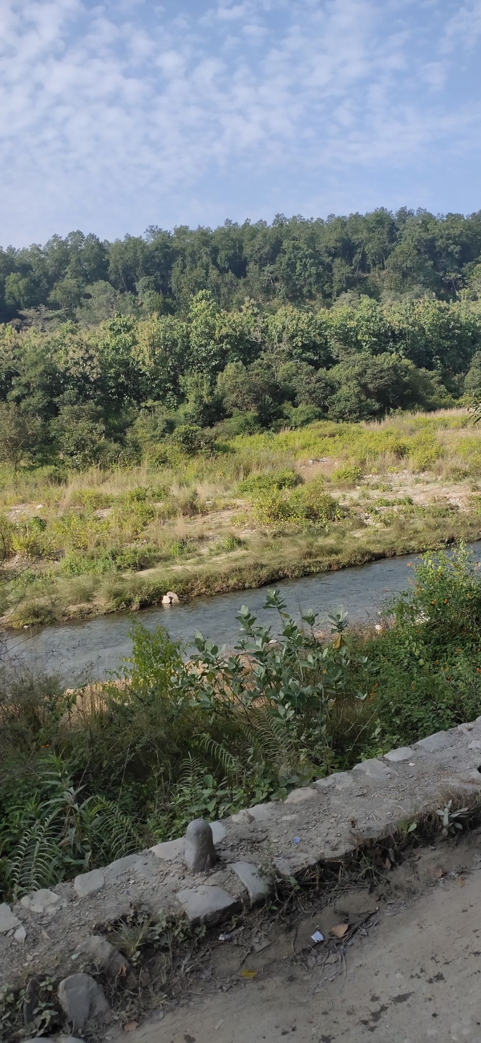 Photo of Trip to Jim Corbett by Amit Singh