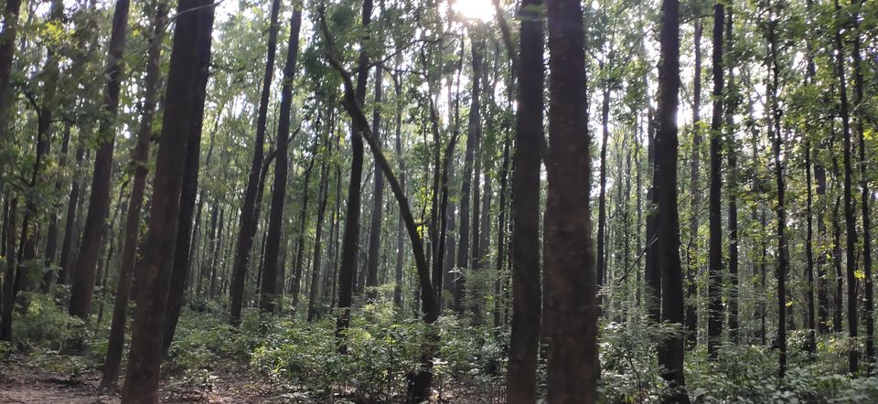 Photo of Trip to Jim Corbett by Amit Singh