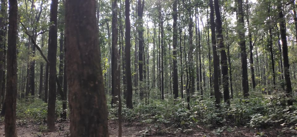 Photo of Trip to Jim Corbett by Amit Singh