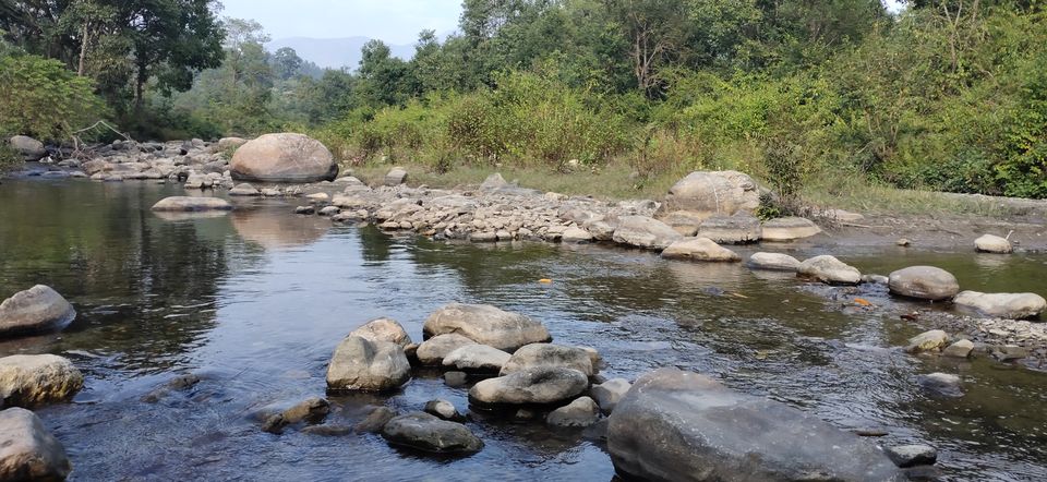 Photo of Trip to Jim Corbett by Amit Singh