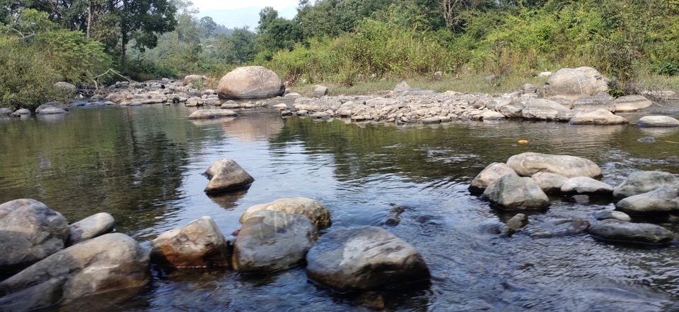 Photo of Trip to Jim Corbett by Amit Singh