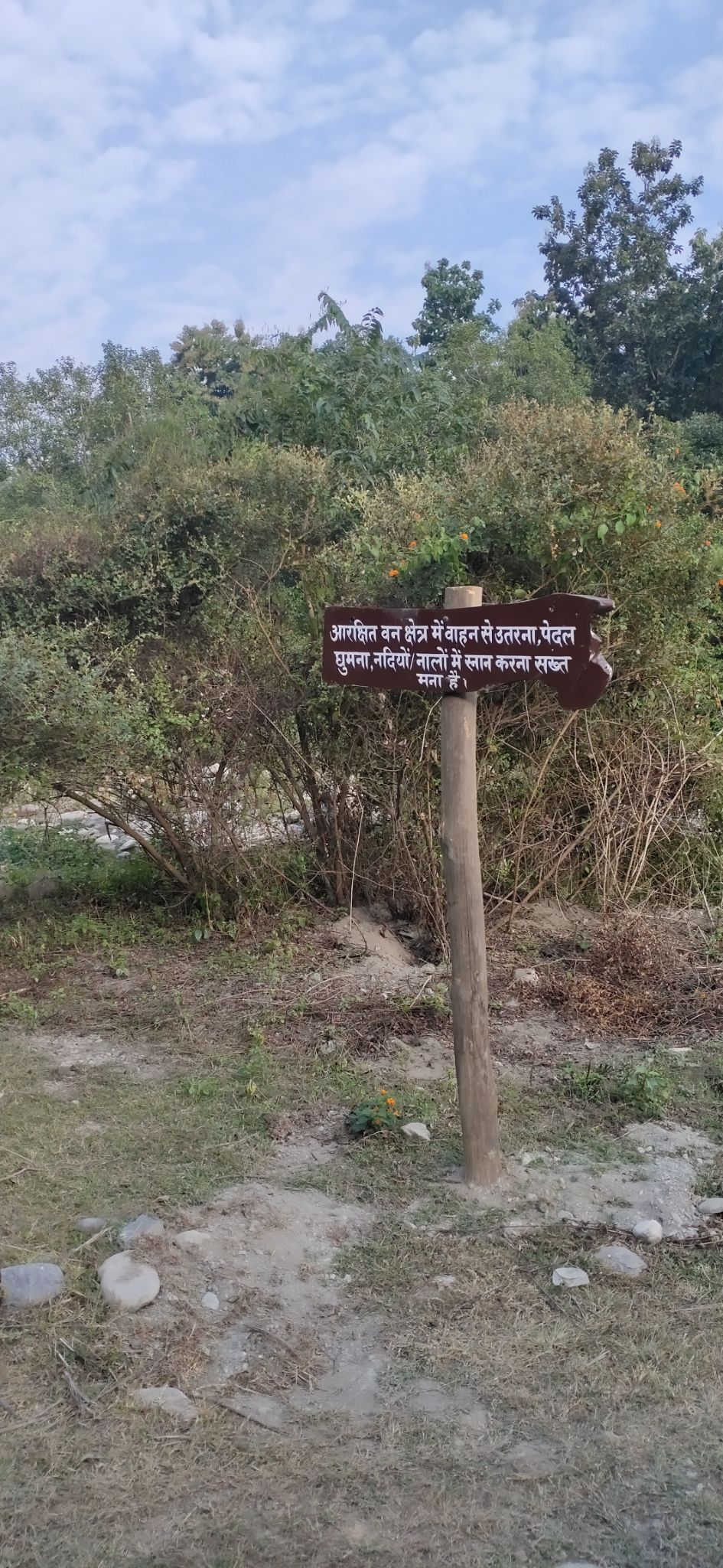 Photo of Trip to Jim Corbett by Amit Singh