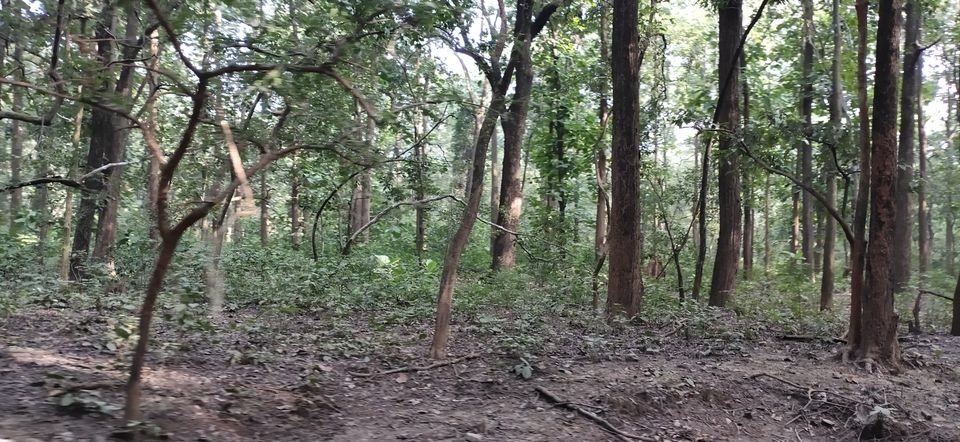 Photo of Trip to Jim Corbett by Amit Singh