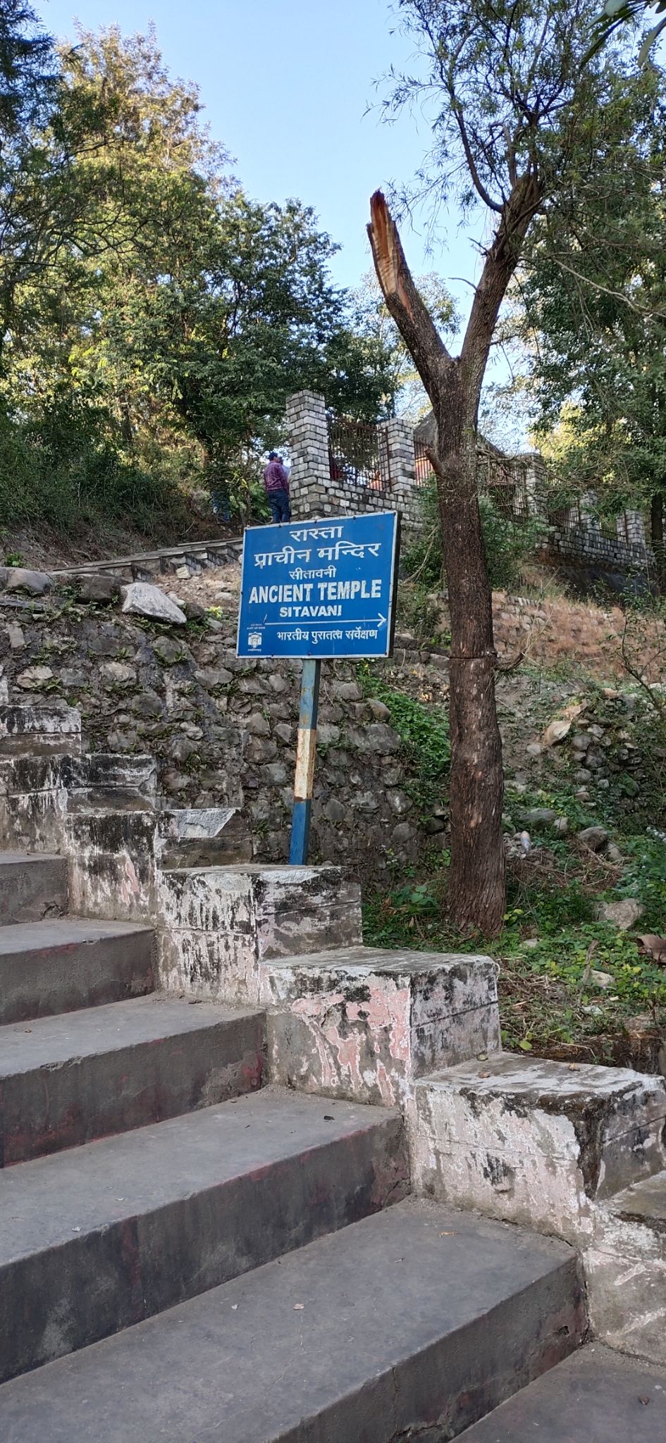 Photo of Trip to Jim Corbett by Amit Singh