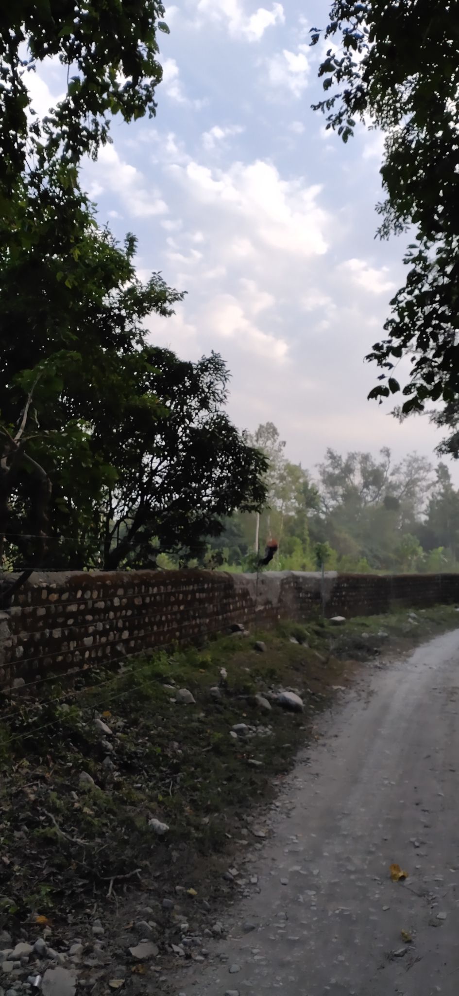Photo of Trip to Jim Corbett by Amit Singh