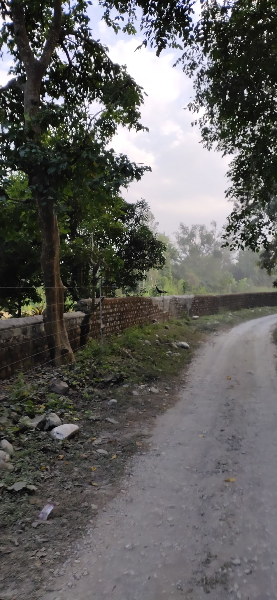 Photo of Trip to Jim Corbett by Amit Singh
