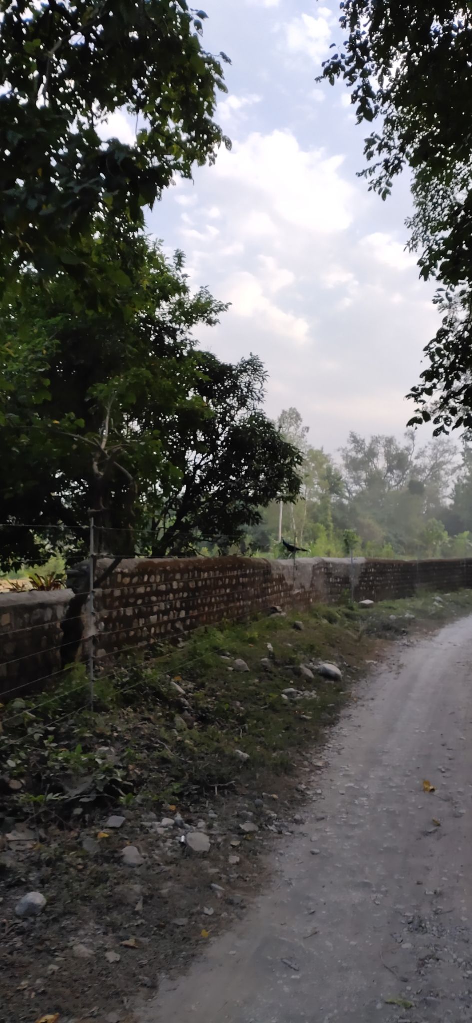 Photo of Trip to Jim Corbett by Amit Singh