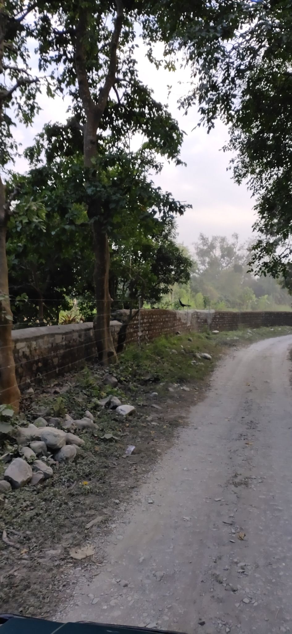 Photo of Trip to Jim Corbett by Amit Singh