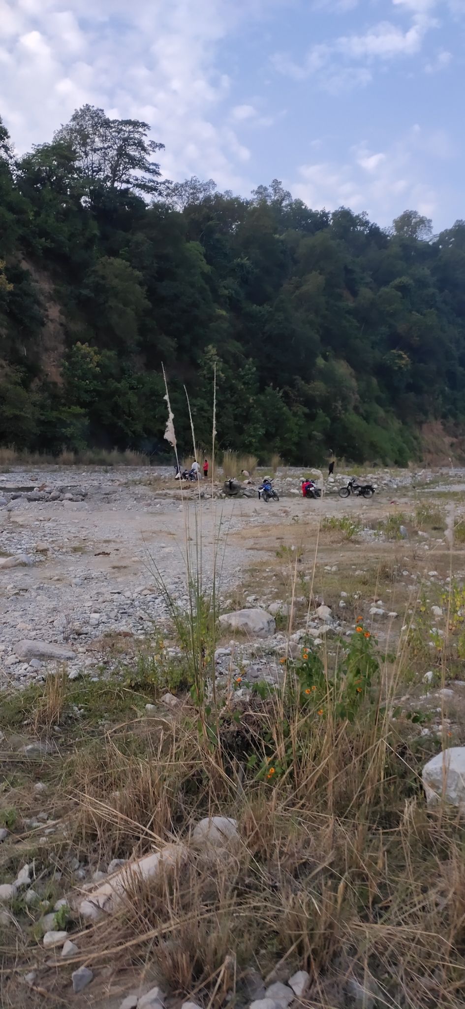 Photo of Trip to Jim Corbett by Amit Singh