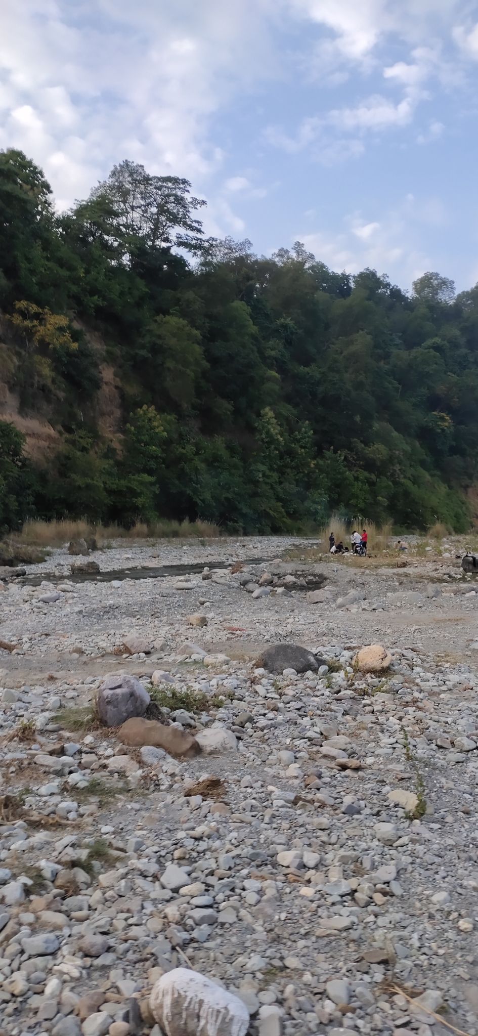 Photo of Trip to Jim Corbett by Amit Singh