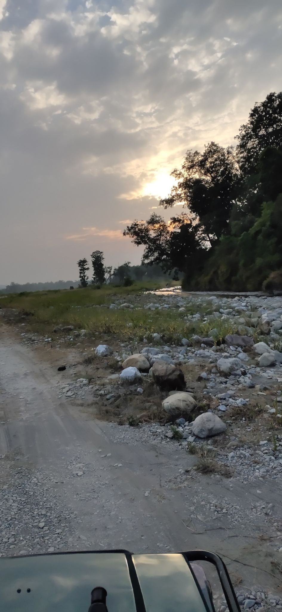 Photo of Trip to Jim Corbett by Amit Singh
