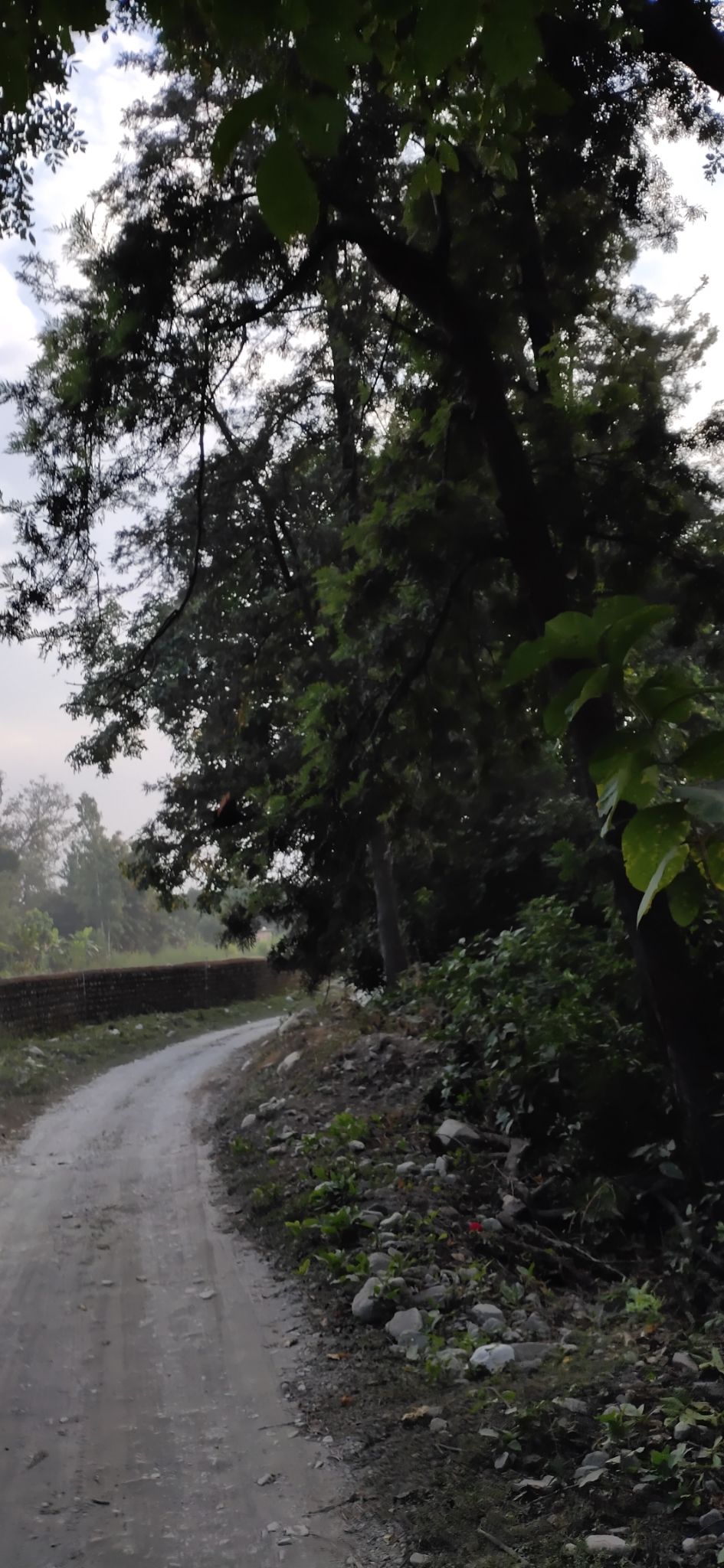 Photo of Trip to Jim Corbett by Amit Singh