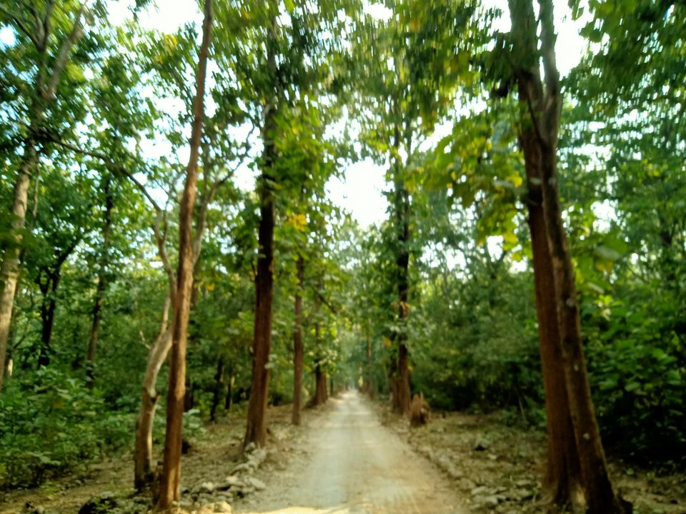 Photo of Trip to Jim Corbett by Amit Singh
