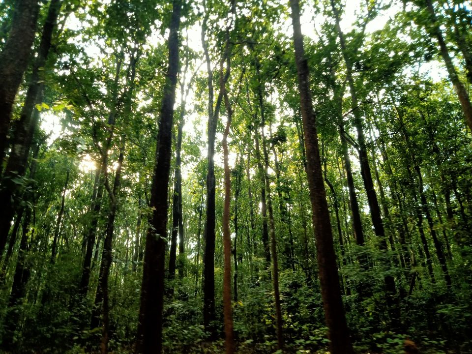 Photo of Trip to Jim Corbett by Amit Singh