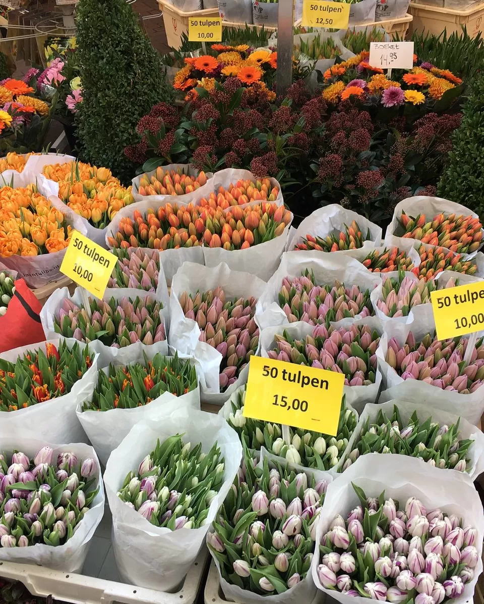 Photo of Bloemenmarkt, Singel, Amsterdam, Netherlands by Sonam