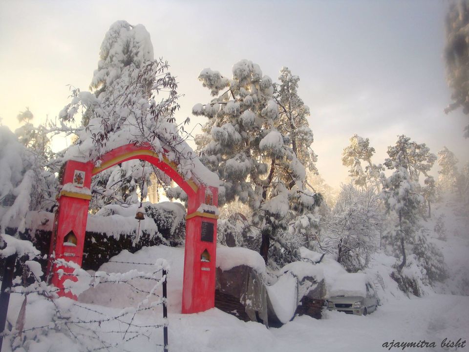 Photo of Around Almora - The Mini Trek Guide 1/6 by Sonam