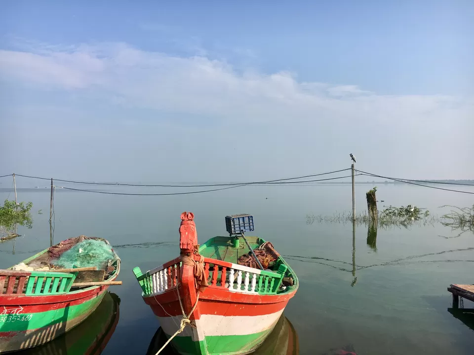 Photo of Kumbhargaon Birds Sanctuary, Kumbhargaon, Maharashtra, India by Sonam