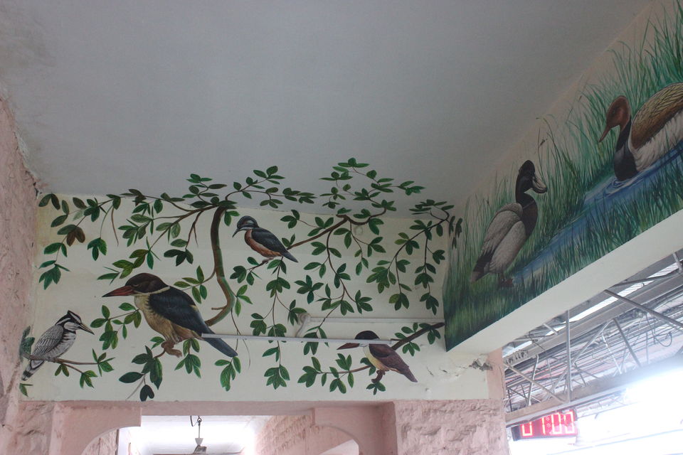 Photo of Witness the another world at Bharatpur Sanctuary by Himani Rawat