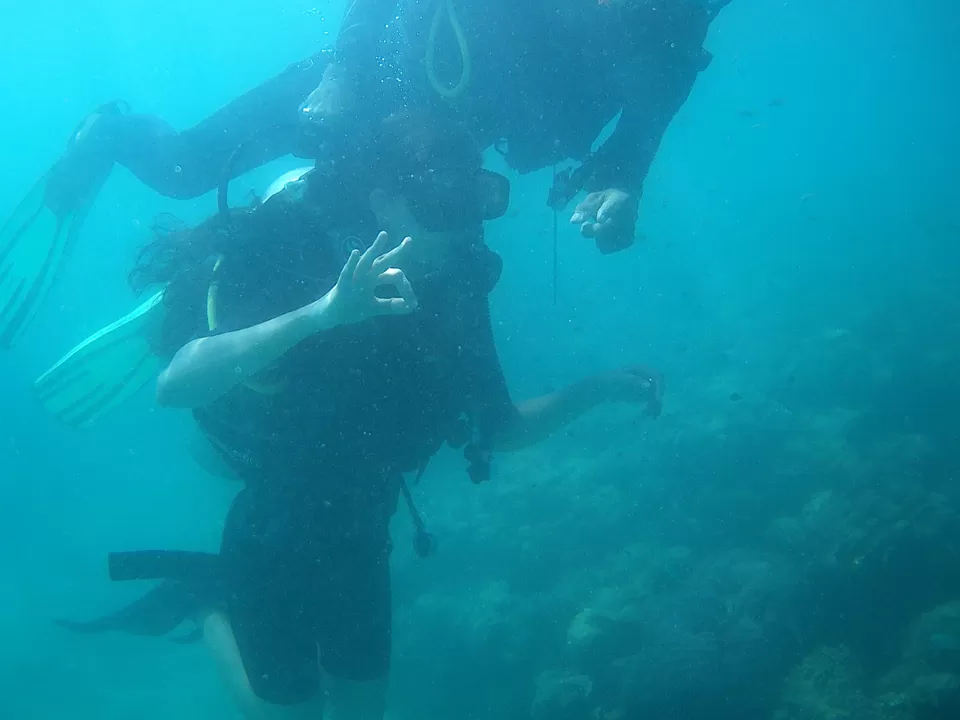 Photo of Havelock Island, Andaman and Nicobar Islands by Shradha Palni