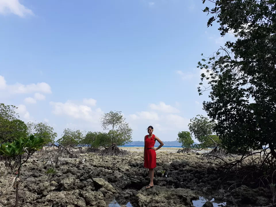 Photo of Neil Island, Andaman and Nicobar Islands by Shradha Palni