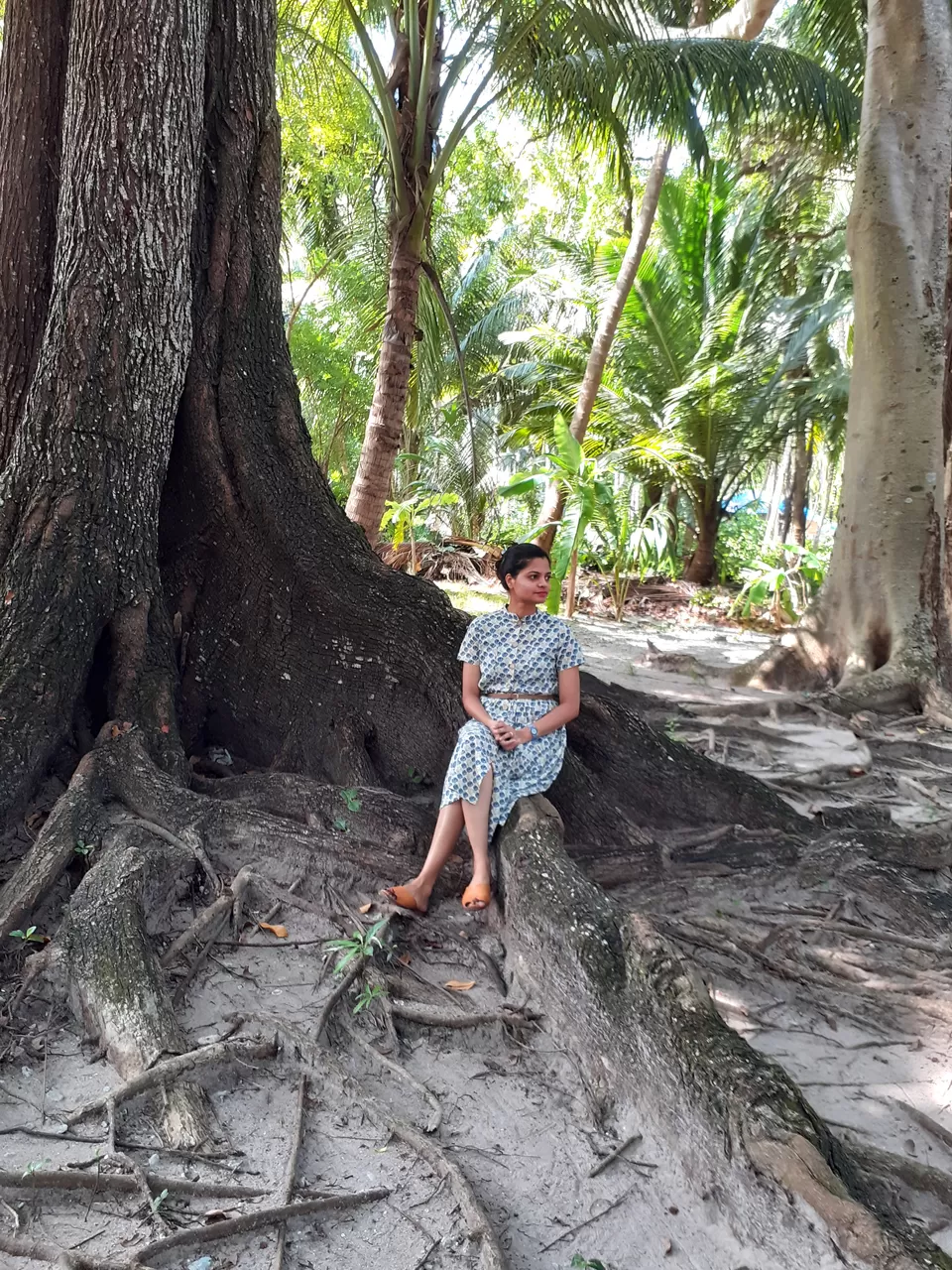 Photo of Seashell Resort, Neil Island. 744104, Village Road, Lakshmanpur, Andaman and Nicobar Islands, India by Shradha Palni