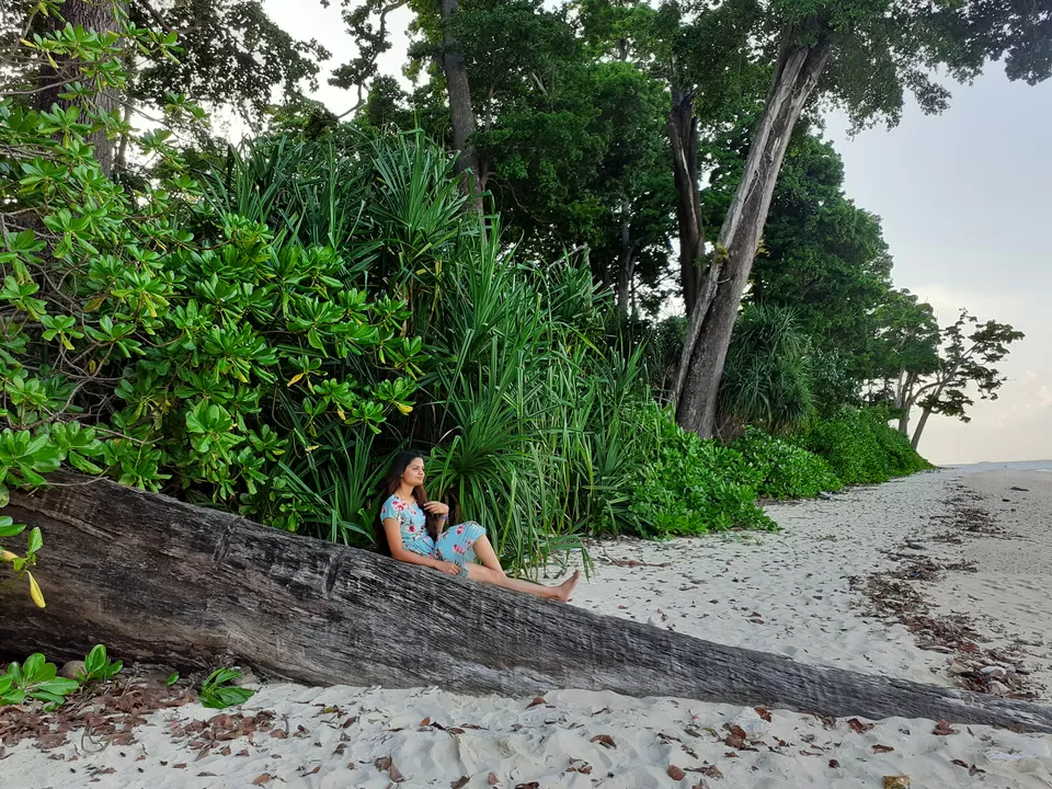 Photo of Laxmanpur Beach No 1, Village Road, Lakshmanpur, Andaman and Nicobar Islands, India by Shradha Palni