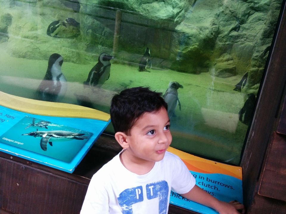 Photo of My Singapore Diary 4/9 by Bhupinder Mittal