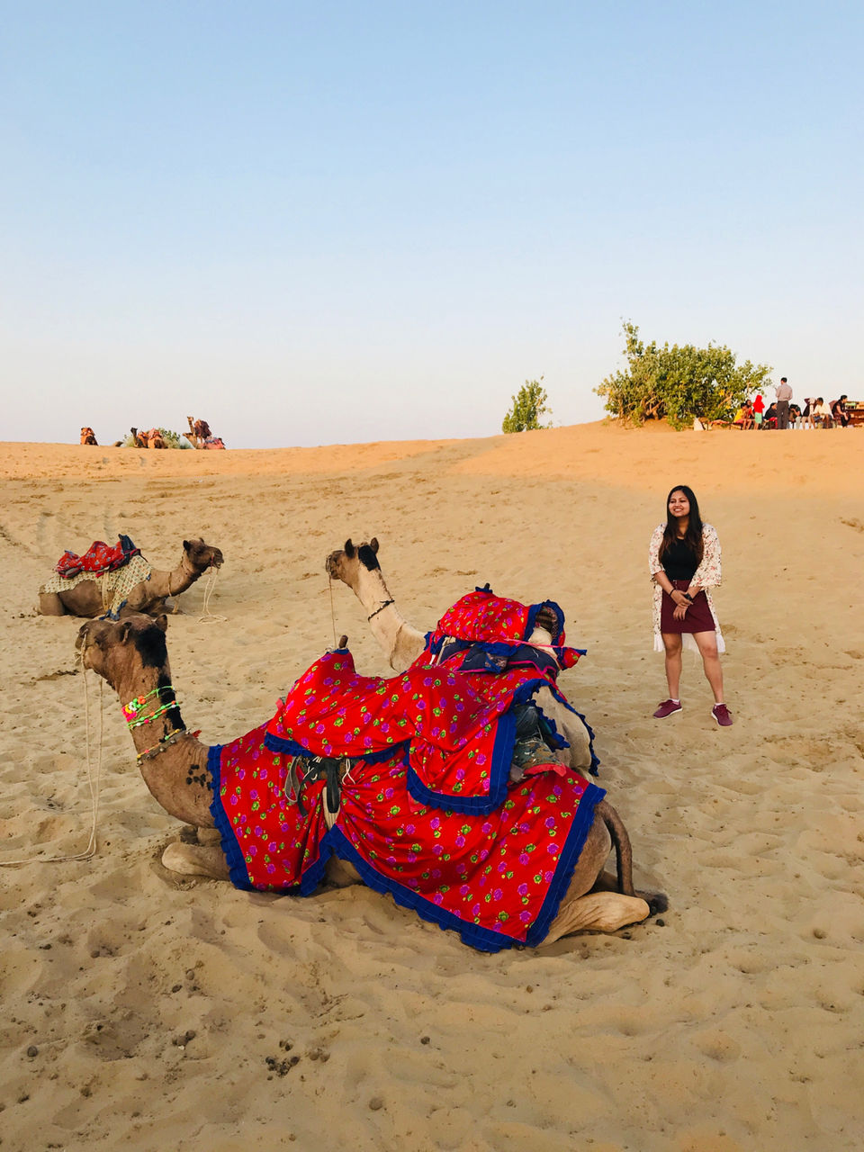 Photo of Jaisalmer Adventures by Priya Arya