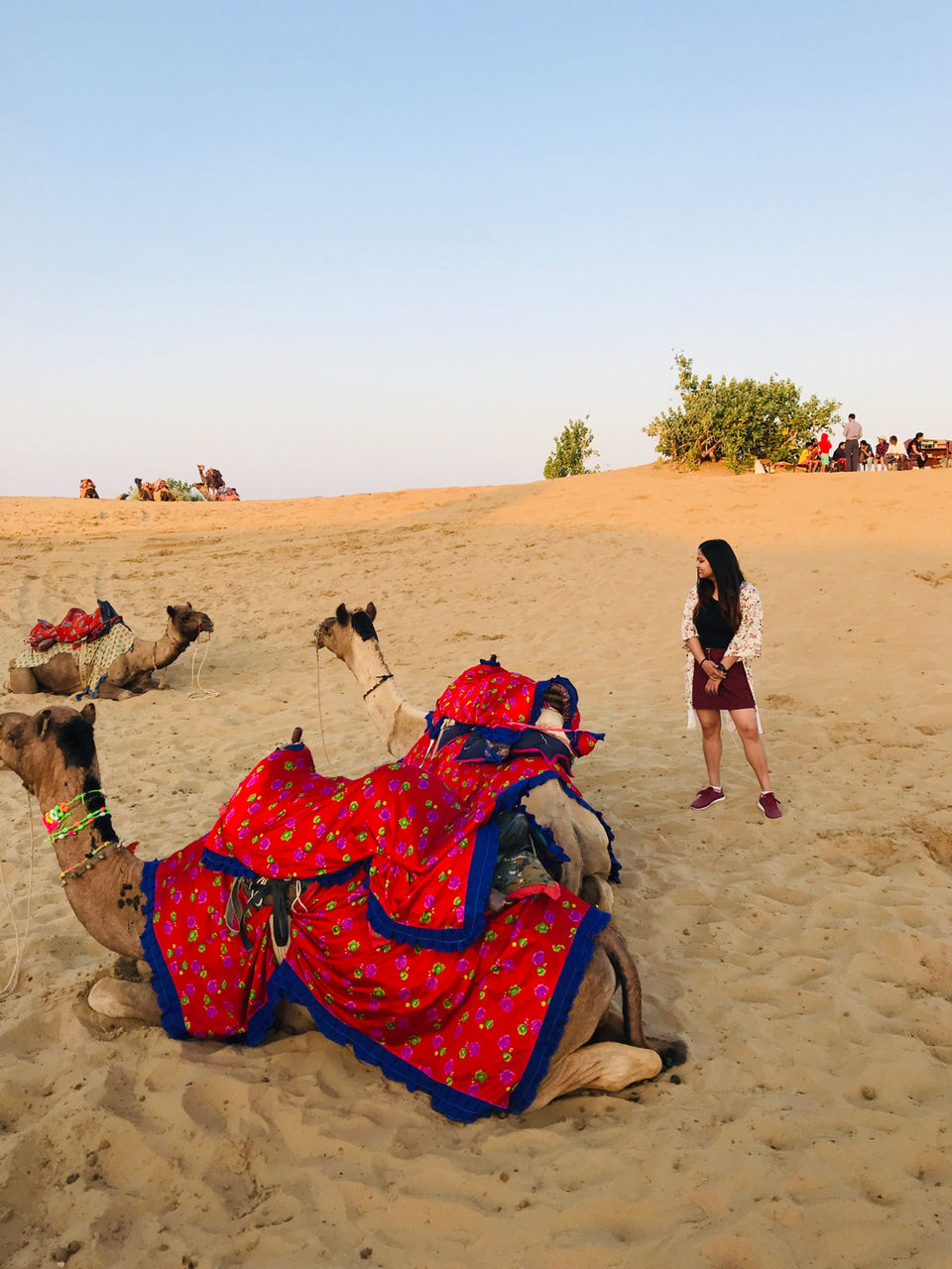 Photo of Jaisalmer Adventures by Priya Arya