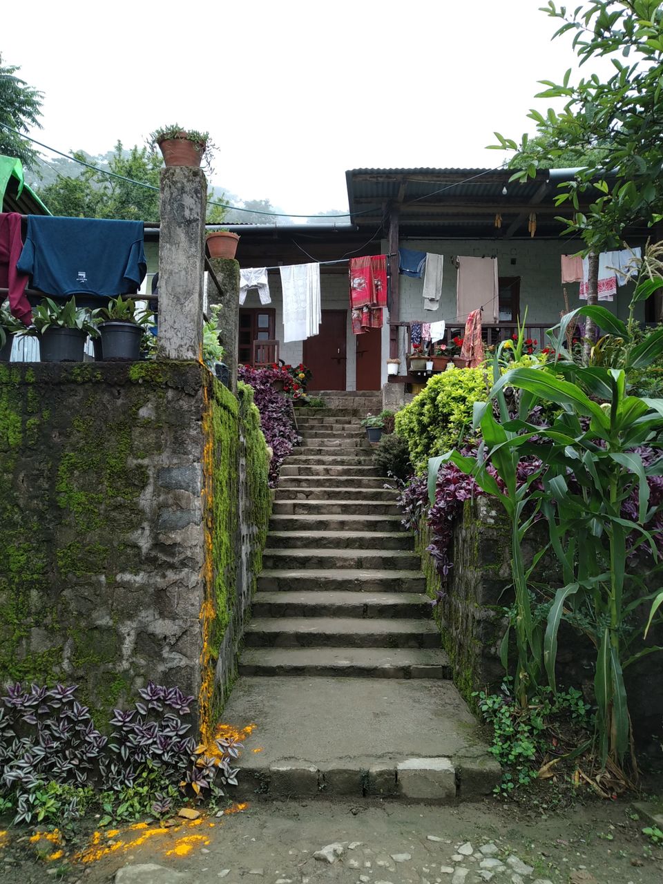 Photo of Kolkata, West Bengal, India by Saikat Saha