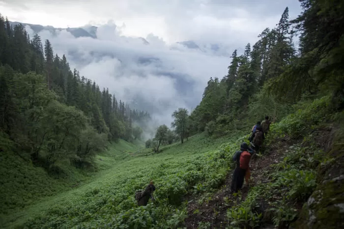 Photo of Kheer Ganga Trek, Khir Ganga, Himachal Pradesh, India by Abhishek Ganguly...MyTravel Box