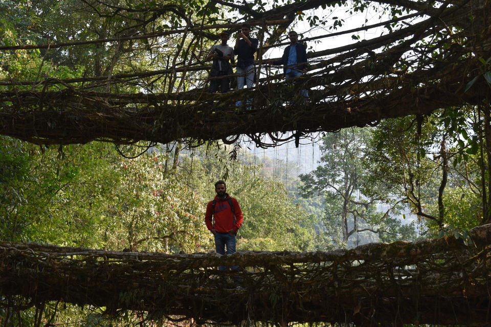 Photo of Double Decker Living Root Bridge, Cherrapunjee, Meghalaya, India by Abhishek Ganguly...MyTravel Box