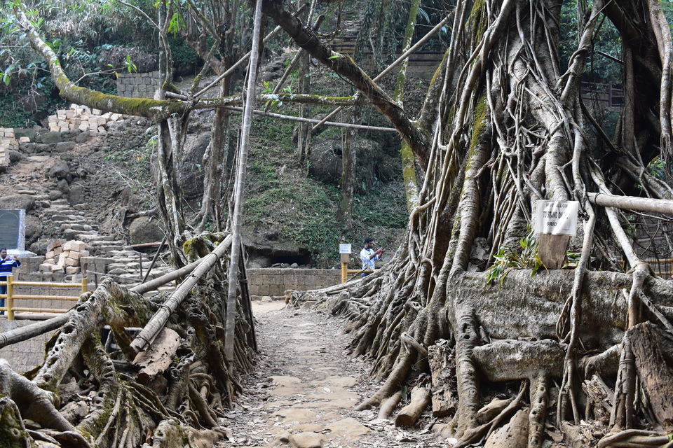 Photo of Mawlynnong, Meghalaya, India by Abhishek Ganguly...MyTravel Box