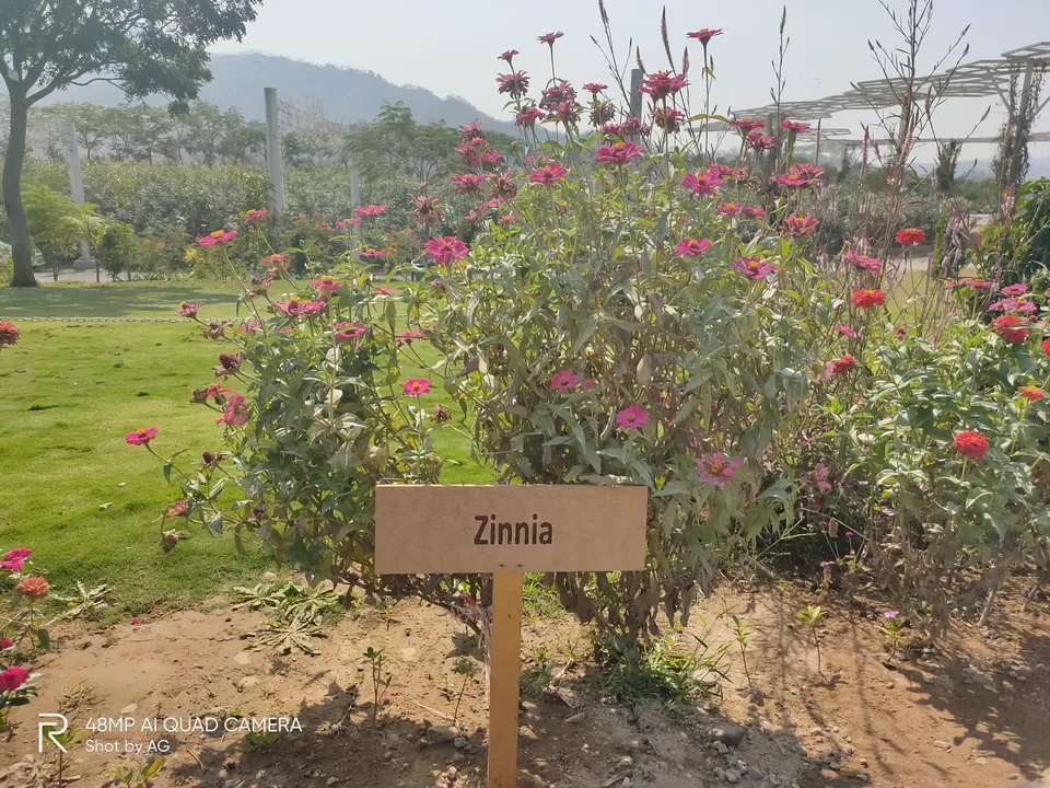 Photo of Valley of Flowers (ફ્લાવર વેલી), Gujarat, India by Abhishek Ganguly...MyTravel Box