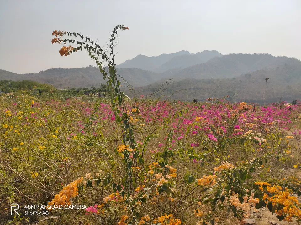 Photo of Valley of Flowers (ફ્લાવર વેલી), Gujarat, India by Abhishek Ganguly...MyTravel Box