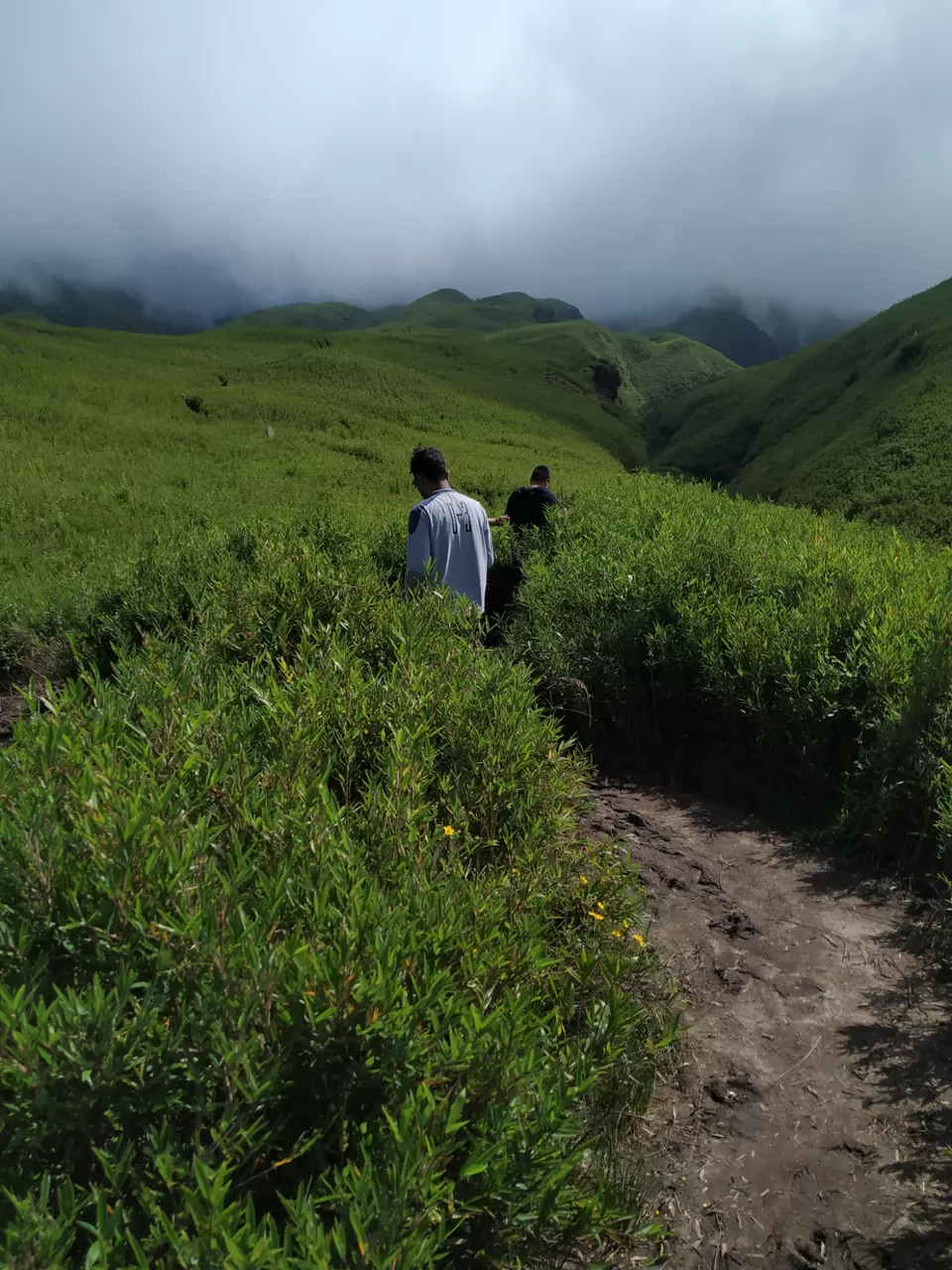 Photo of Dzükou Valley, Viswema, Nagaland, India by Mridul Kumar Kashyap
