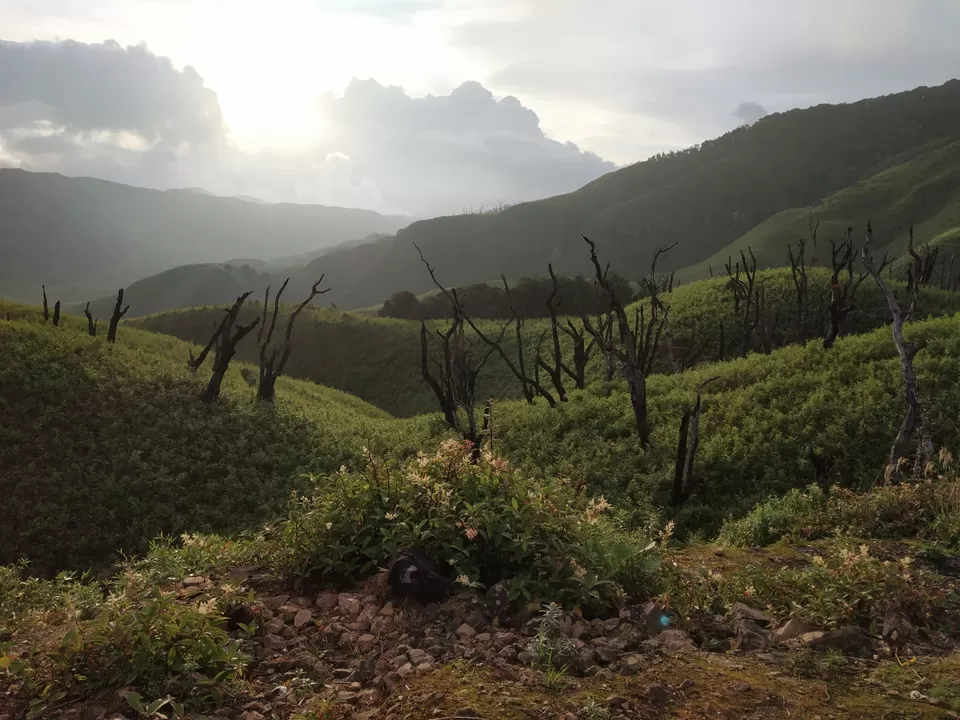 Photo of Dzükou Valley, Viswema, Nagaland, India by Mridul Kumar Kashyap