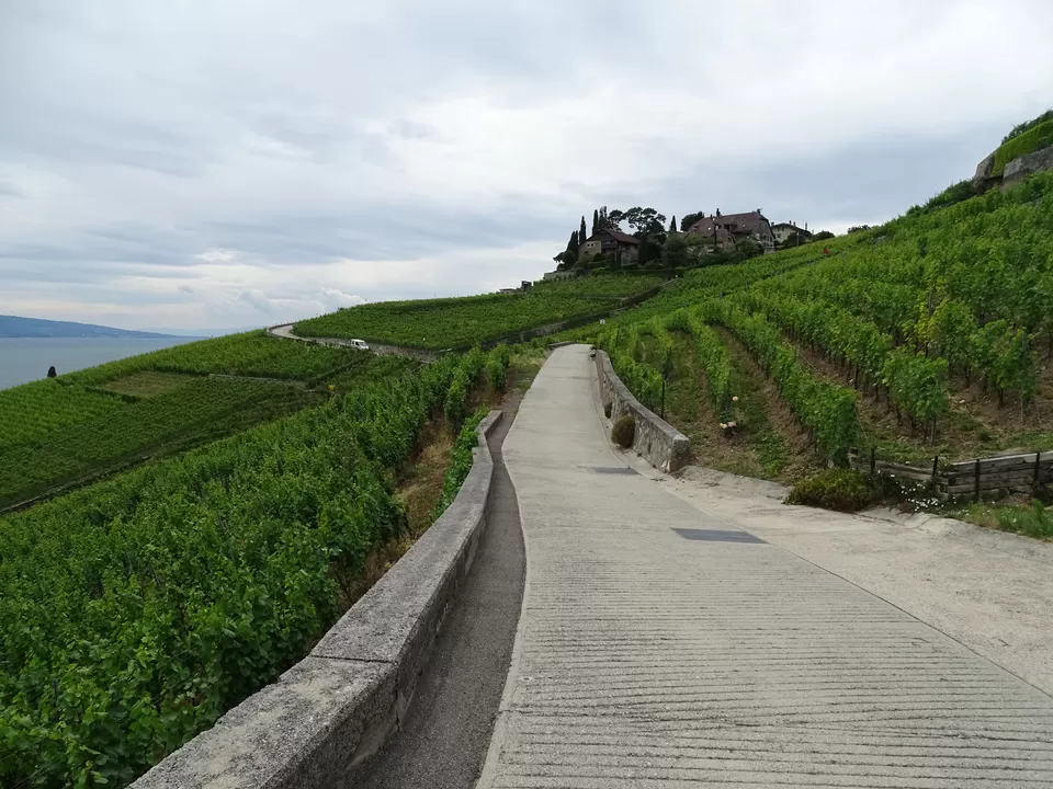 Photo of Vevey, Switzerland by neha garg