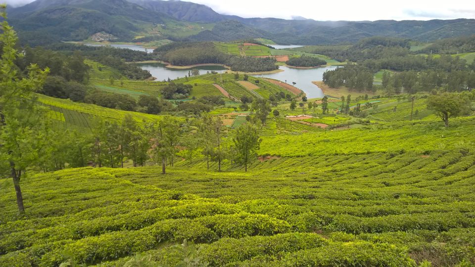 Photo of 4 days of long weekend in Ooty and Coonoor 4/12 by neha garg
