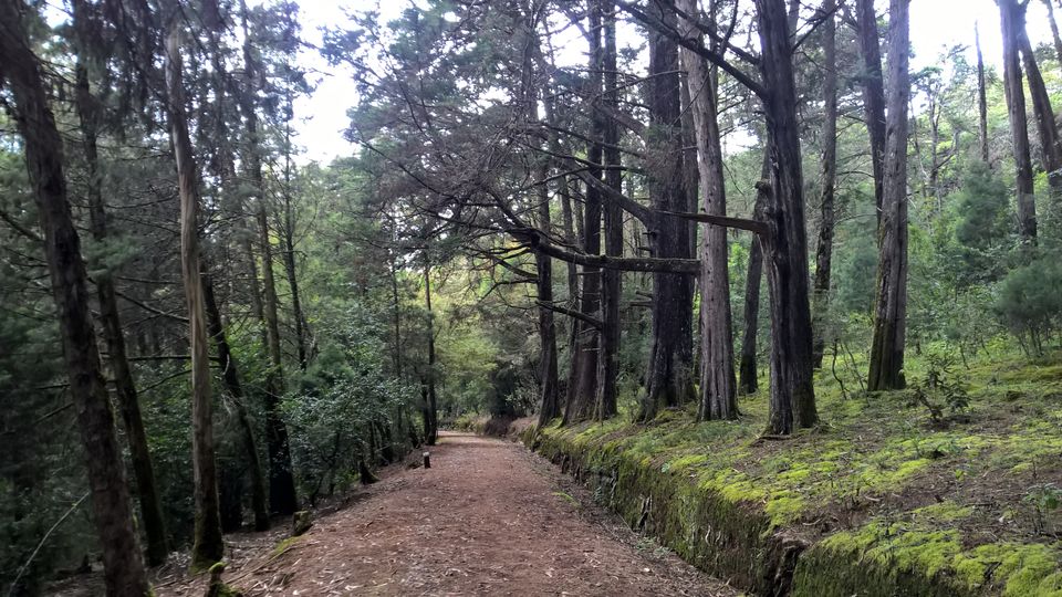 Photo of 4 days of long weekend in Ooty and Coonoor 5/12 by neha garg