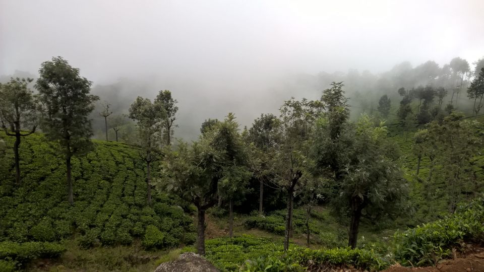 Photo of 4 days of long weekend in Ooty and Coonoor 6/12 by neha garg
