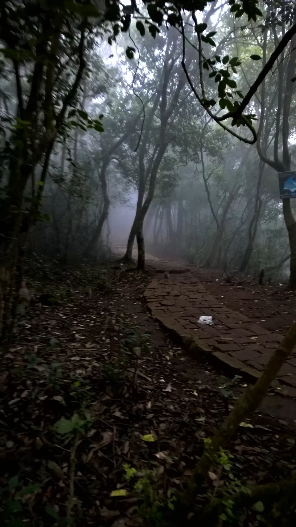 Photo of Lamb Rock in Coonoor by neha garg